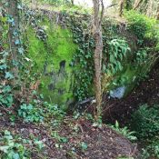 IMG_20210119_093939.jpg IMG_20210119_093939.jpg